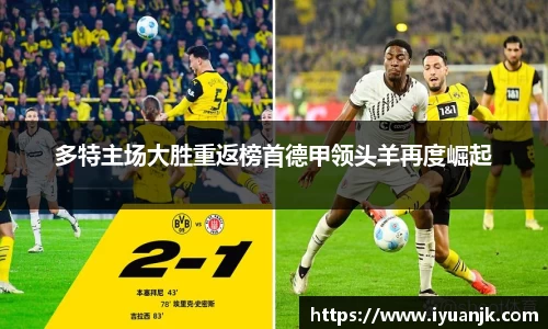 完美体育官网