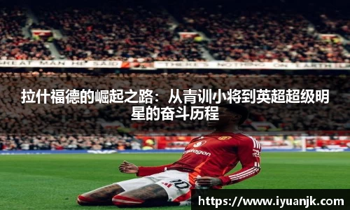 完美体育官网