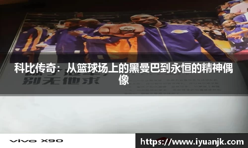 完美体育app
